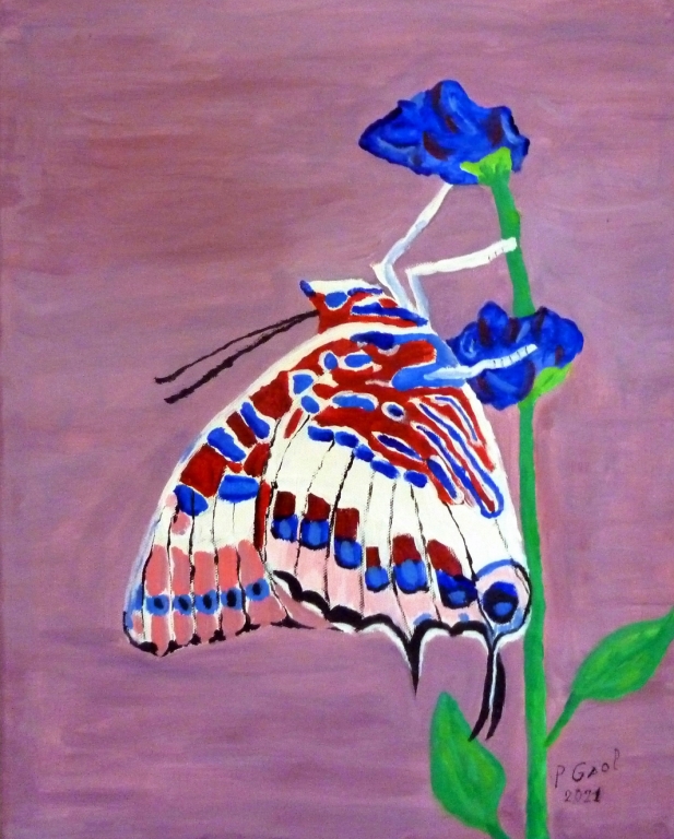 Papillon