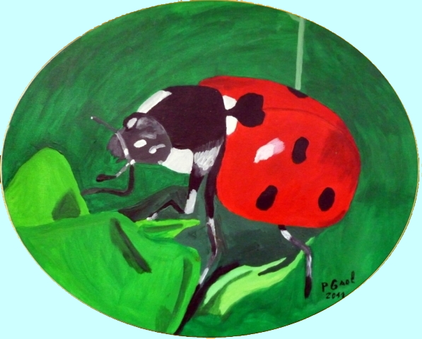 Coccinelle